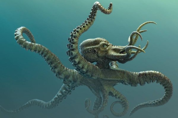 Kraken russia